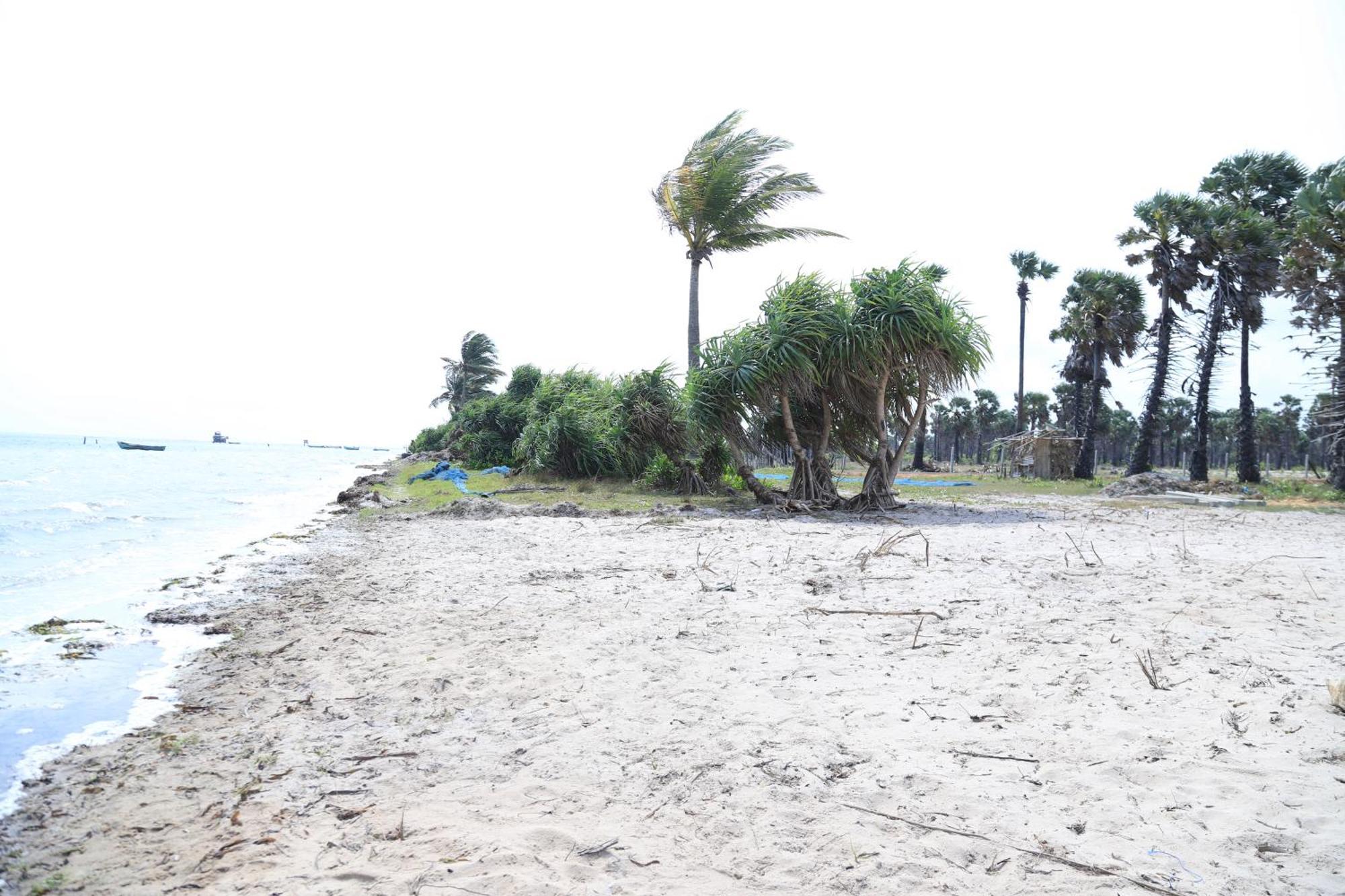 Palm Beach Resort Ceylon Jaffna Bagian luar foto